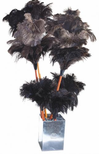 Ostrich Feather Duster - Black with plain untreated beech handle 110cm
