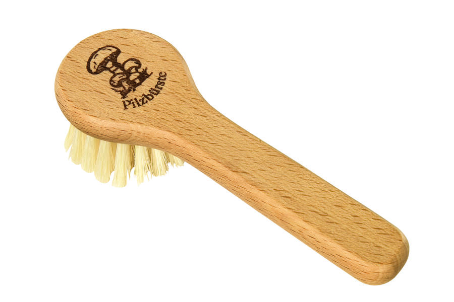 Mushroom Brush with handle